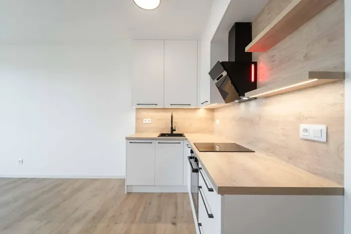 Pronájem bytu 1+kk, Olomouc, Aloise Rašína, 29 m2