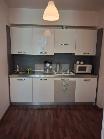 Pronájem bytu 2+kk, Praha - Vinohrady, Mánesova, 45 m2