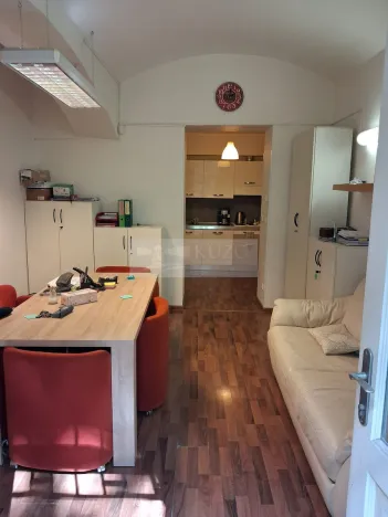 Pronájem bytu 2+kk, Praha - Vinohrady, Mánesova, 45 m2