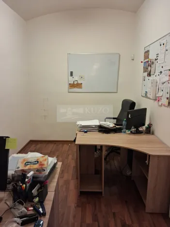 Pronájem bytu 2+kk, Praha - Vinohrady, Mánesova, 45 m2