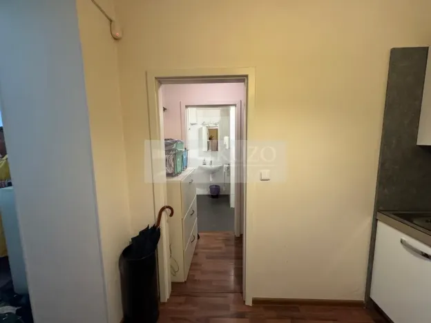 Pronájem bytu 2+kk, Praha - Vinohrady, Mánesova, 45 m2
