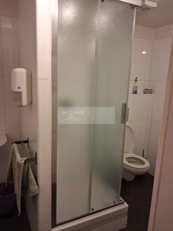 Pronájem bytu 2+kk, Praha - Vinohrady, Mánesova, 45 m2