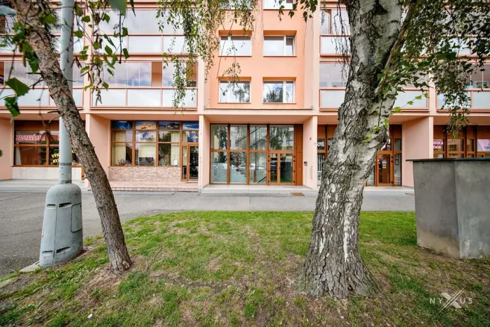 Prodej bytu 3+1, Beroun, Havlíčkova, 71 m2