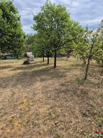 Prodej rodinného domu, Bukovany, 70 m2