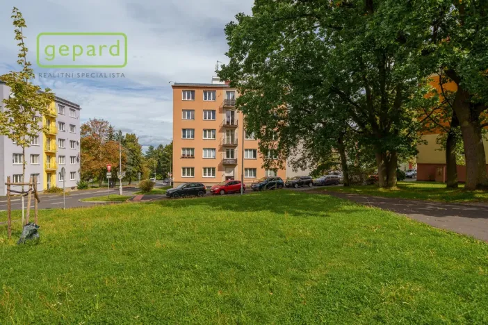 Prodej bytu 2+1, Sokolov, Heyrovského, 50 m2