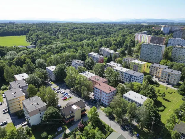 Pronájem bytu 2+kk, Ostrava - Výškovice, Staňkova, 50 m2