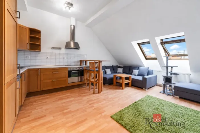 Prodej bytu 2+kk, Praha - Žižkov, Roháčova, 47 m2