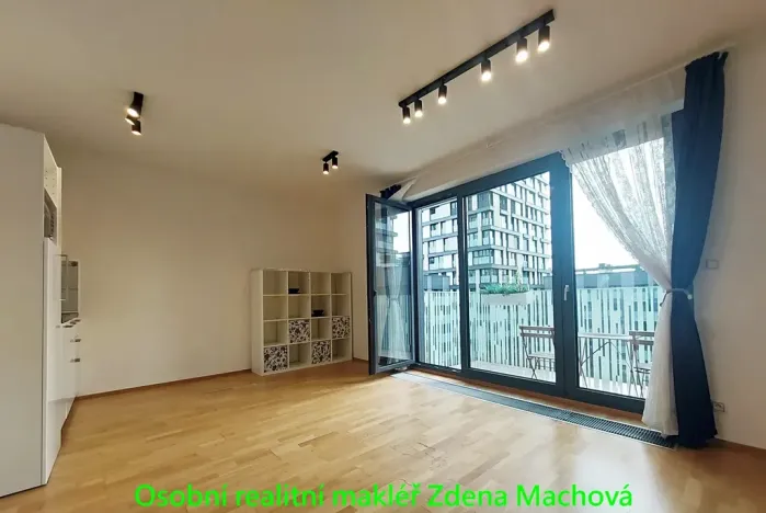 Pronájem bytu 1+kk, Praha - Žižkov, Olšanská, 40 m2