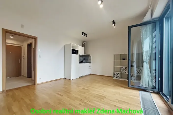 Pronájem bytu 1+kk, Praha - Žižkov, Olšanská, 40 m2
