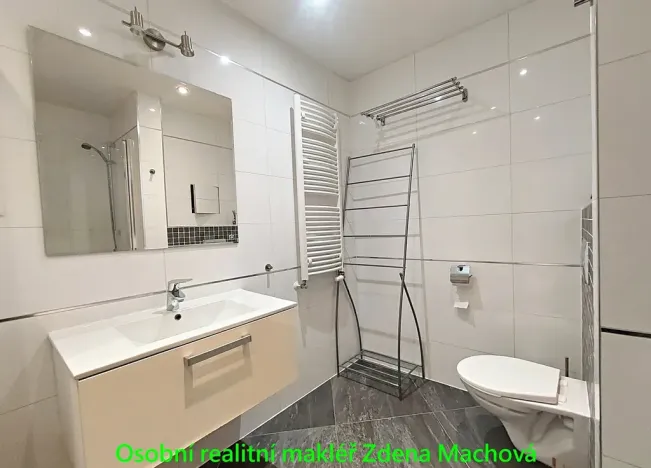 Pronájem bytu 1+kk, Praha - Žižkov, Olšanská, 40 m2