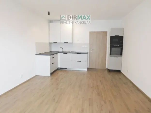 Pronájem bytu 1+kk, Plzeň - Jižní Předměstí, Železná, 38 m2