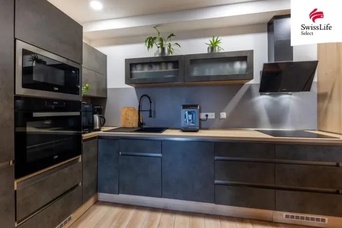 Pronájem bytu 2+kk, Plzeň - Východní Předměstí, Papírnická, 55 m2