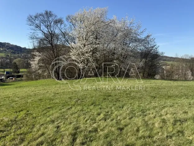 Prodej louky, Hostašovice, 101964 m2