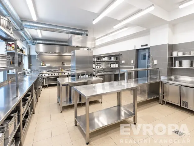 Pronájem restaurace, Plzeň, okres plzeň-město, 245 m2