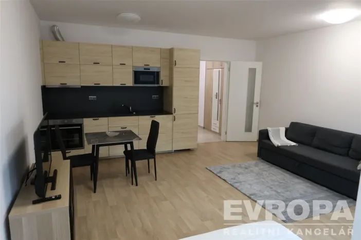 Pronájem bytu 1+kk, Praha - Žižkov, Olgy Havlové, 40 m2