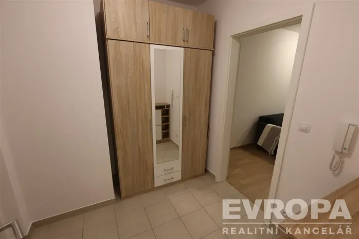 Pronájem bytu 1+kk, Praha - Žižkov, Olgy Havlové, 40 m2
