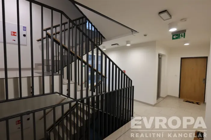 Pronájem bytu 1+kk, Praha - Žižkov, Olgy Havlové, 40 m2