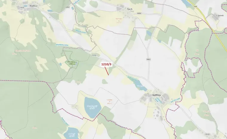 Dražba lesa, Volfířov, 29 m2