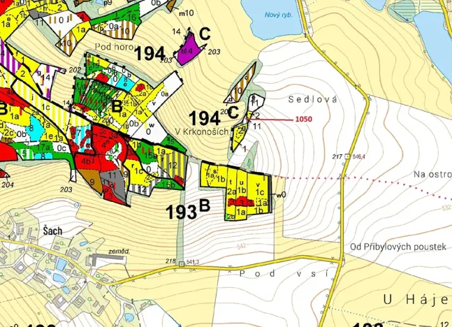 Dražba lesa, Volfířov, 1007 m2