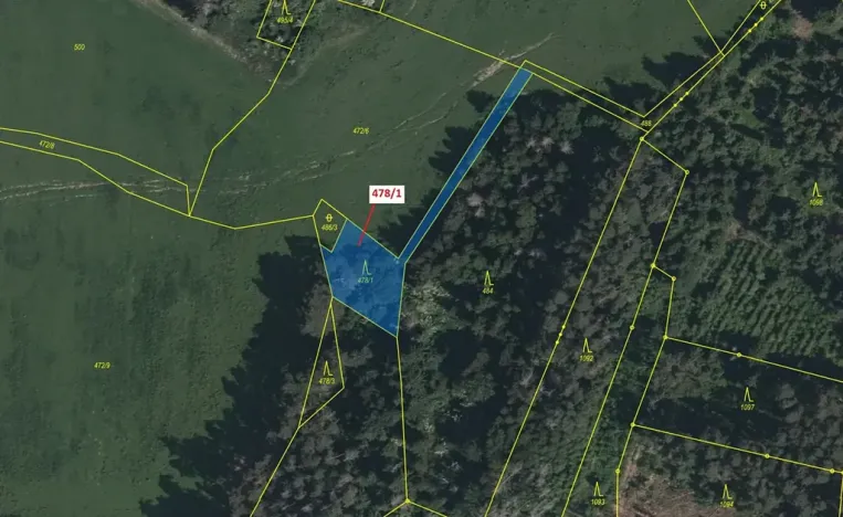 Dražba lesa, Volfířov, 710 m2