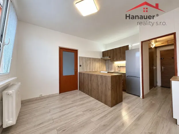 Pronájem bytu 1+1, Jílové - Kamenná, Mládeže, 36 m2
