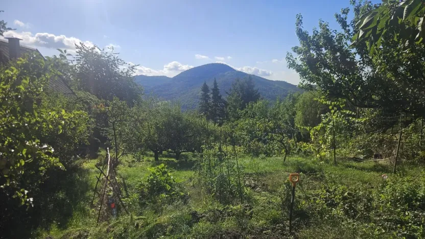 Prodej chaty, Dolní Zálezly, 28 m2