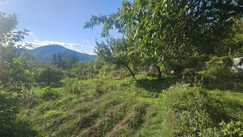 Prodej chaty, Dolní Zálezly, 28 m2