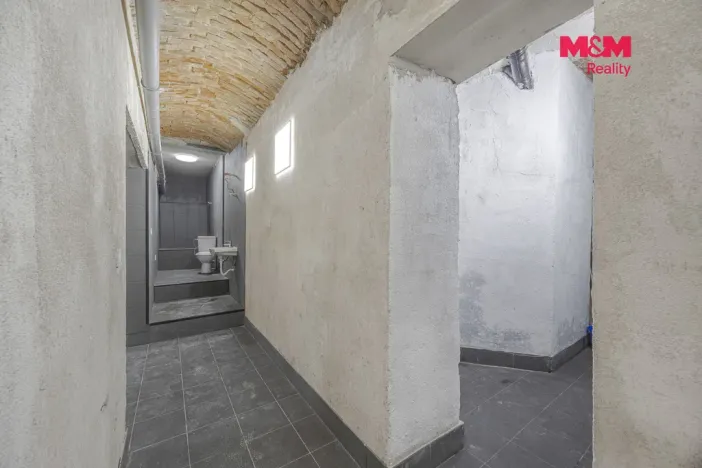 Pronájem komerční nemovitosti, Praha, Seifertova, 100 m2