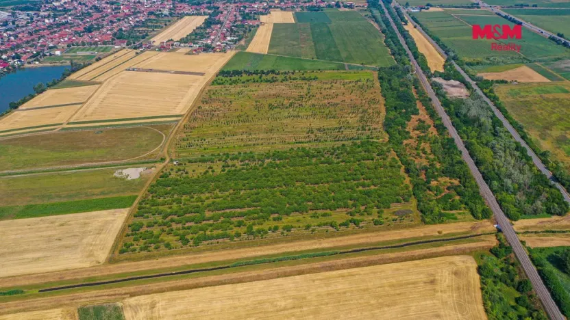 Prodej pole, Rakvice, 12442 m2