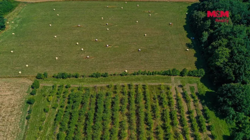 Prodej pole, Polom, 2771 m2