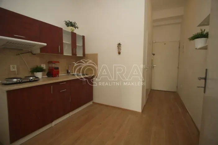 Pronájem bytu 1+kk, Praha - Žižkov, Hartigova, 29 m2