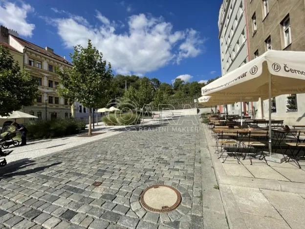 Pronájem bytu 1+kk, Praha - Žižkov, Hartigova, 29 m2