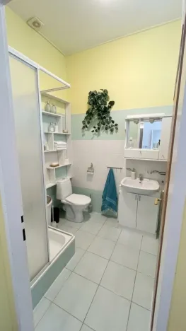 Prodej komerční nemovitosti, Teplice, Karla Čapka, 353 m2