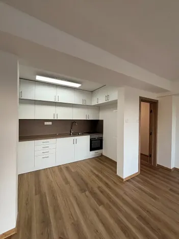Pronájem bytu 4+kk, Olomouc, Přáslavská, 170 m2
