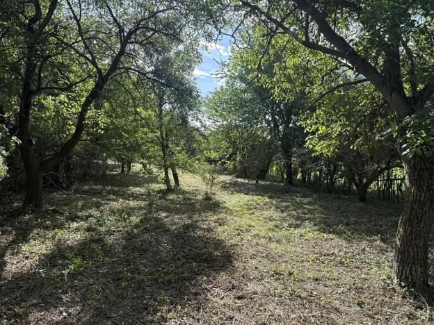 Prodej zahrady, Říčany, Do Lehovic, 2317 m2