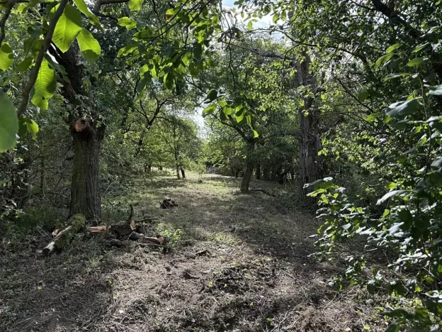 Prodej zahrady, Říčany, Do Lehovic, 2317 m2