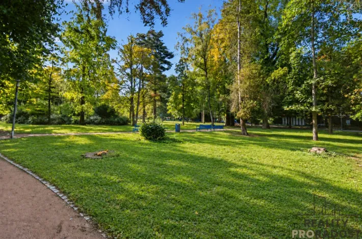 Prodej bytu 1+1, Pardubice, Čechovo nábřeží, 42 m2