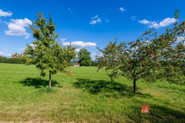 Prodej louky, Chrastava - Horní Chrastava, Frýdlantská, 7126 m2