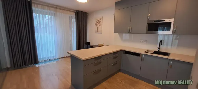 Pronájem bytu 1+kk, Praha - Žižkov, Olšanská, 79 m2