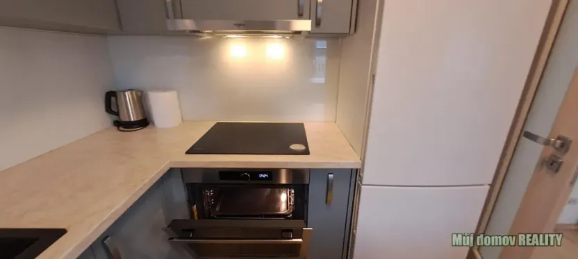 Pronájem bytu 1+kk, Praha - Žižkov, Olšanská, 79 m2