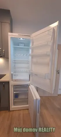 Pronájem bytu 1+kk, Praha - Žižkov, Olšanská, 79 m2