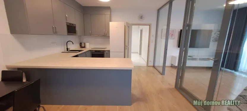 Pronájem bytu 1+kk, Praha - Žižkov, Olšanská, 79 m2