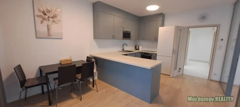 Pronájem bytu 1+kk, Praha - Žižkov, Olšanská, 79 m2