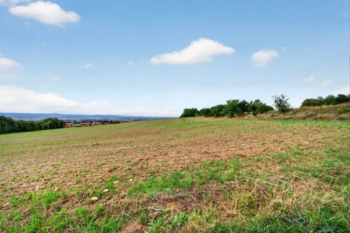 Prodej pozemku pro bydlení, Rudolfov, Třeboňská, 6520 m2