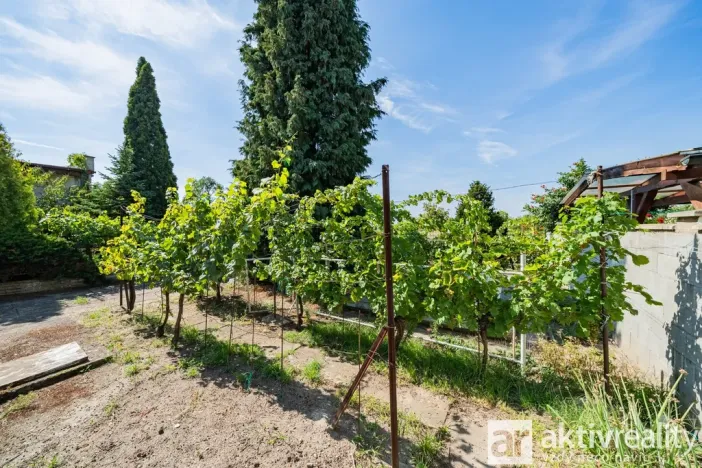Prodej rodinného domu, Mělník, Vinohradská, 307 m2