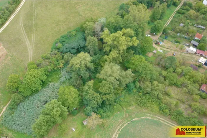 Prodej zahrady, Uherský Brod, 4292 m2