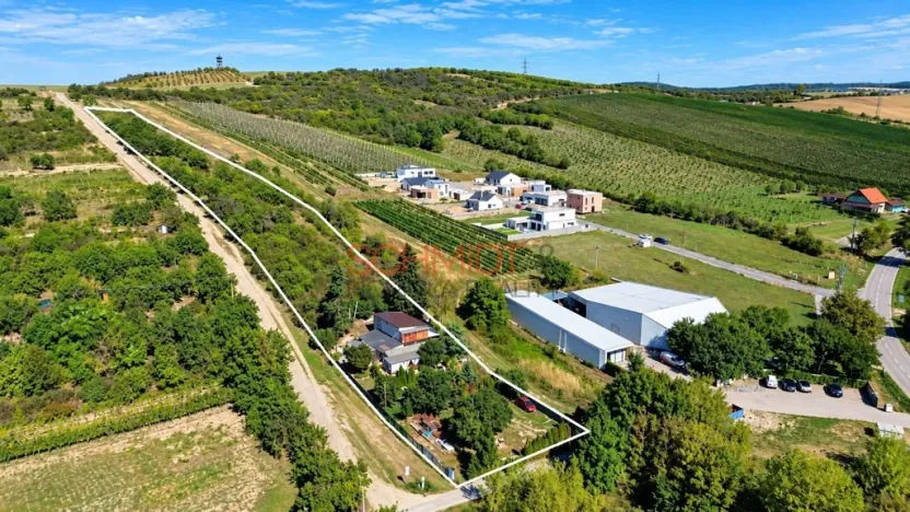 Prodej pozemku pro bydlení, Hustopeče, Havlíčkova, 7968 m2