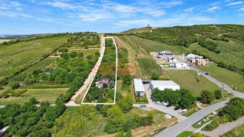 Prodej pozemku pro bydlení, Hustopeče, Havlíčkova, 7968 m2