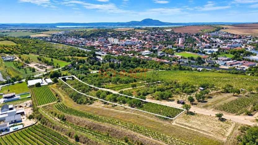 Prodej pozemku pro bydlení, Hustopeče, Havlíčkova, 7968 m2