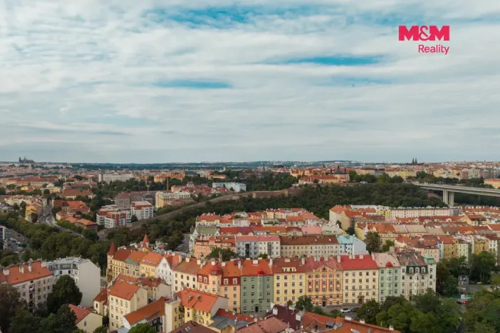 Prodej bytu 1+kk, Praha - Nusle, Krokova, 17 m2